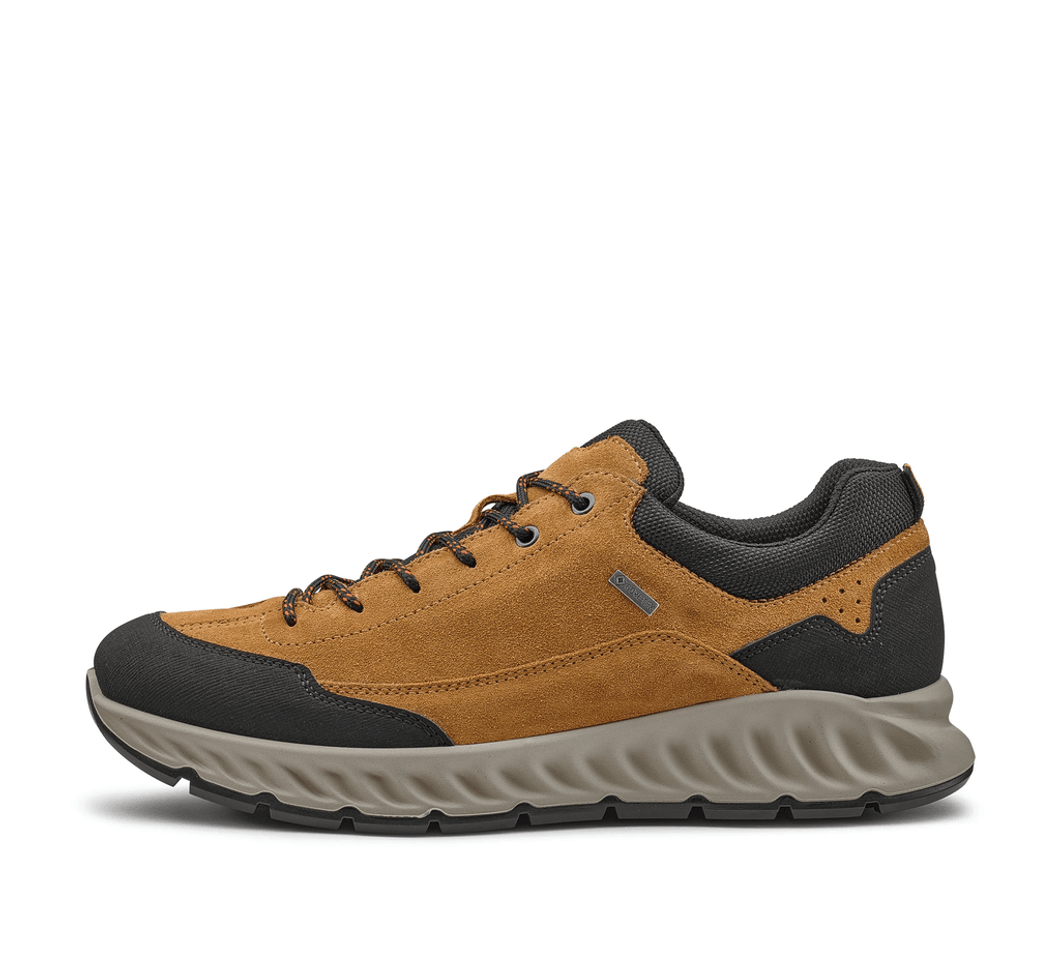Ara Shoes Pietro Men's GORE-TEX® Hiker - Yellow 28 11-36250-28